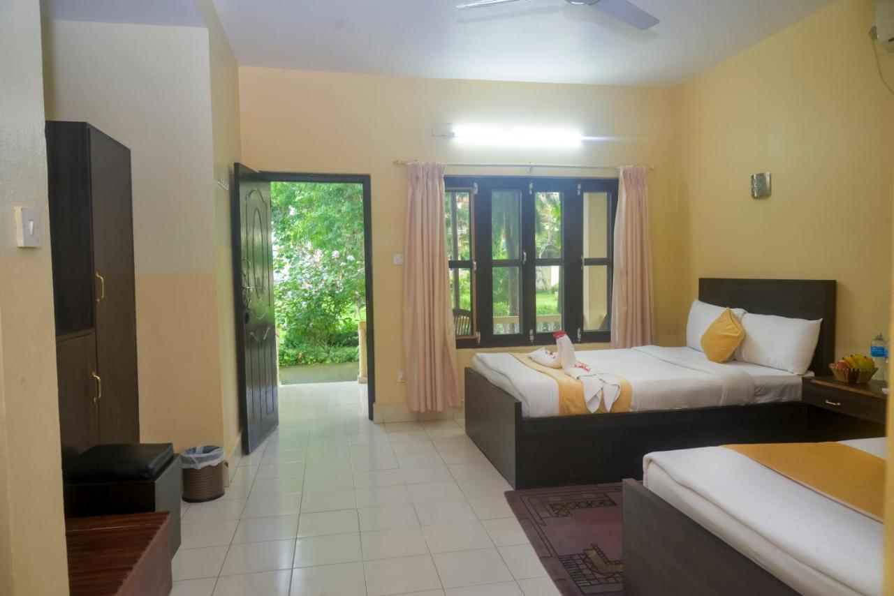 Hotel Rainforest Sauraha Bagian luar foto