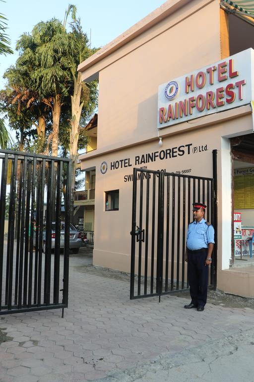 Hotel Rainforest Sauraha Bagian luar foto