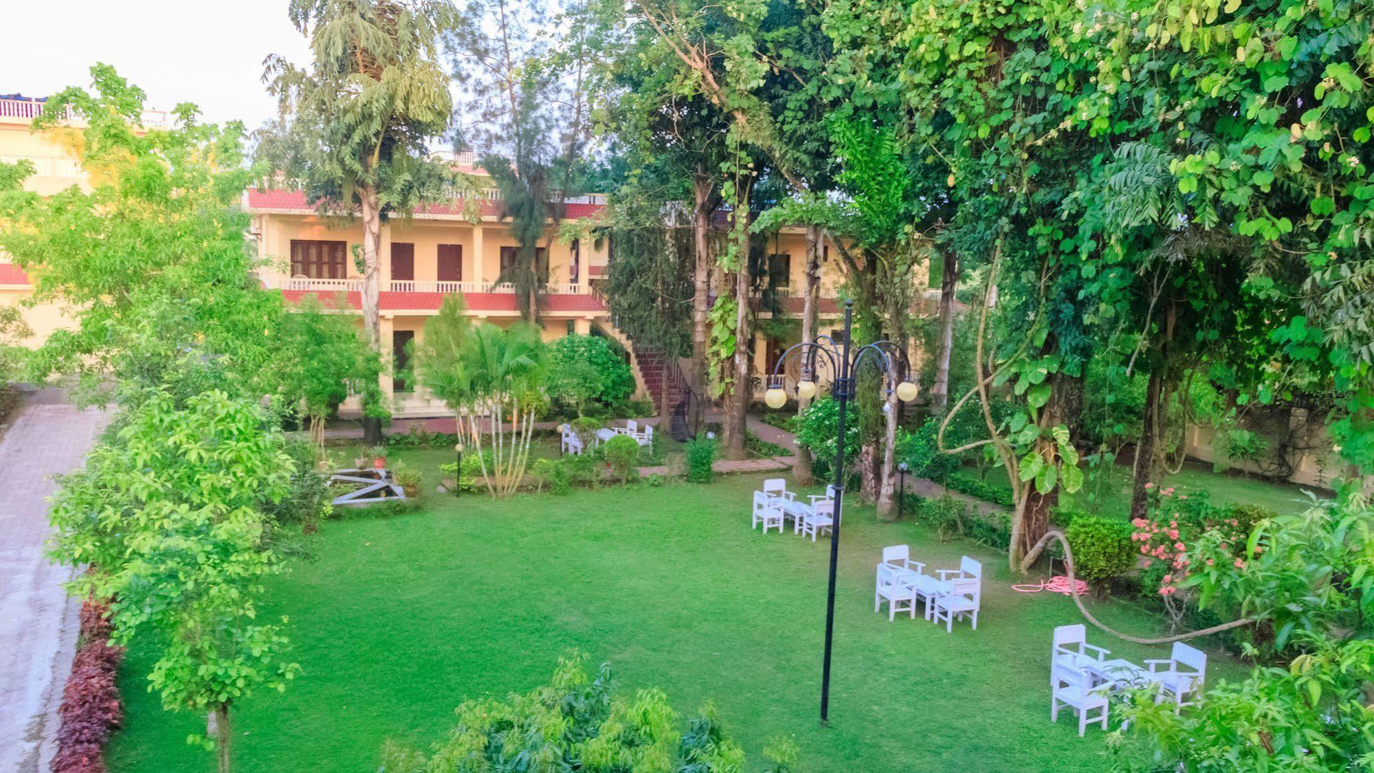 Hotel Rainforest Sauraha Bagian luar foto