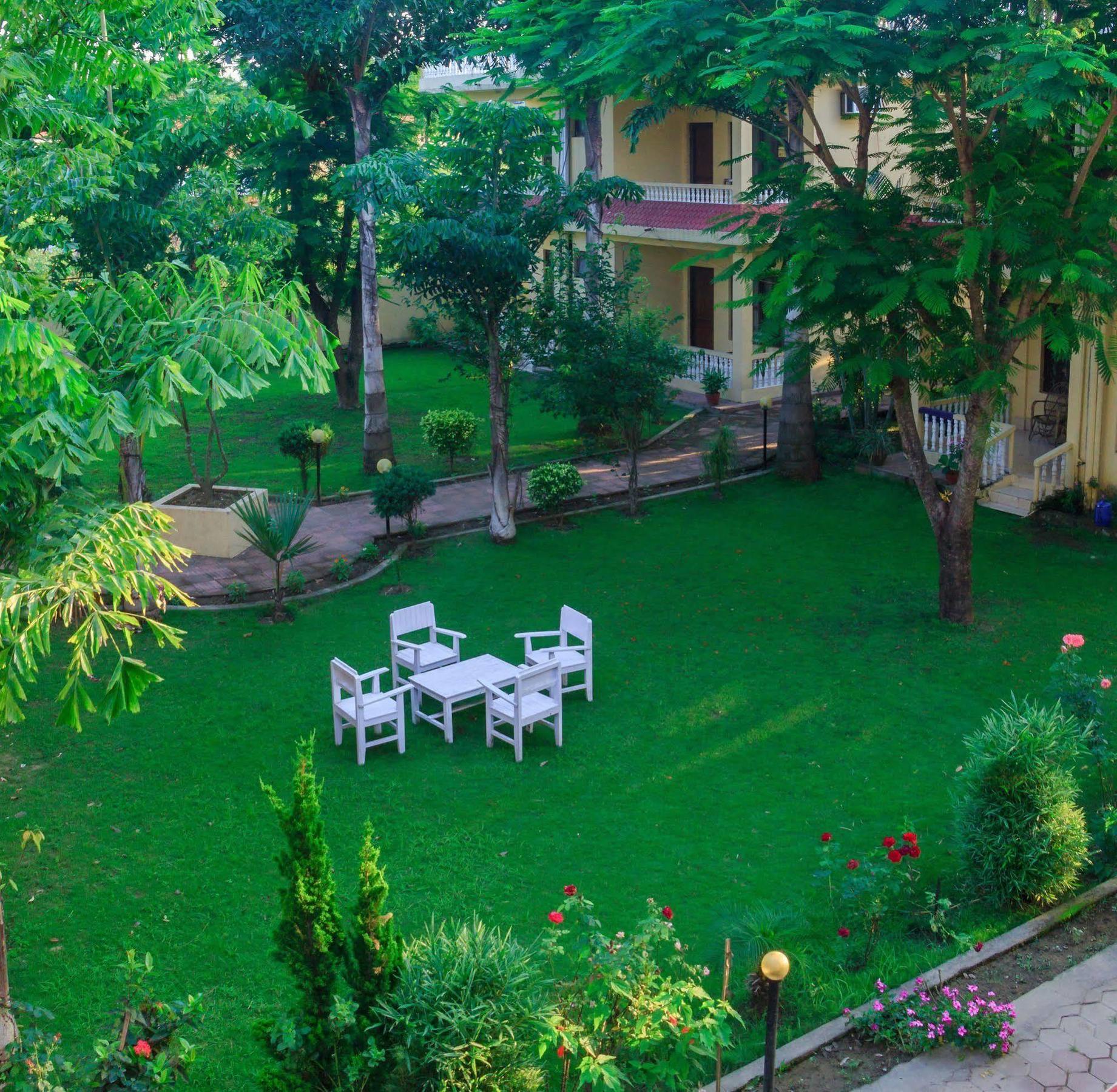 Hotel Rainforest Sauraha Bagian luar foto