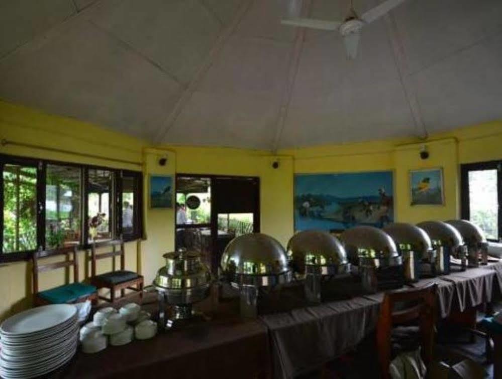 Hotel Rainforest Sauraha Bagian luar foto