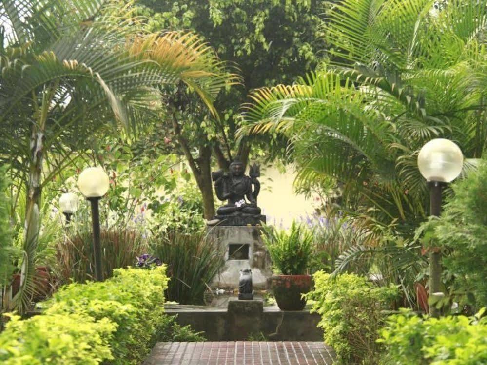 Hotel Rainforest Sauraha Bagian luar foto
