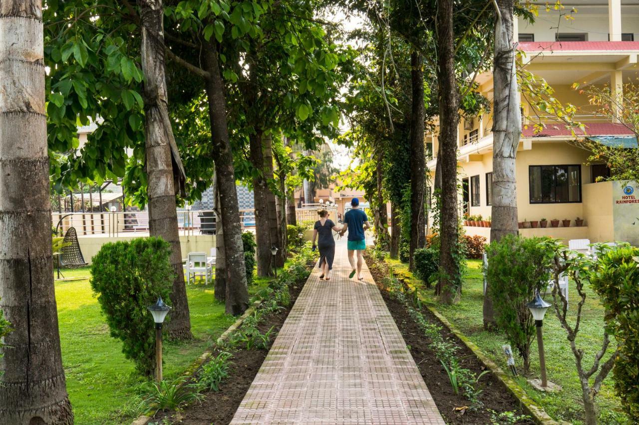 Hotel Rainforest Sauraha Bagian luar foto