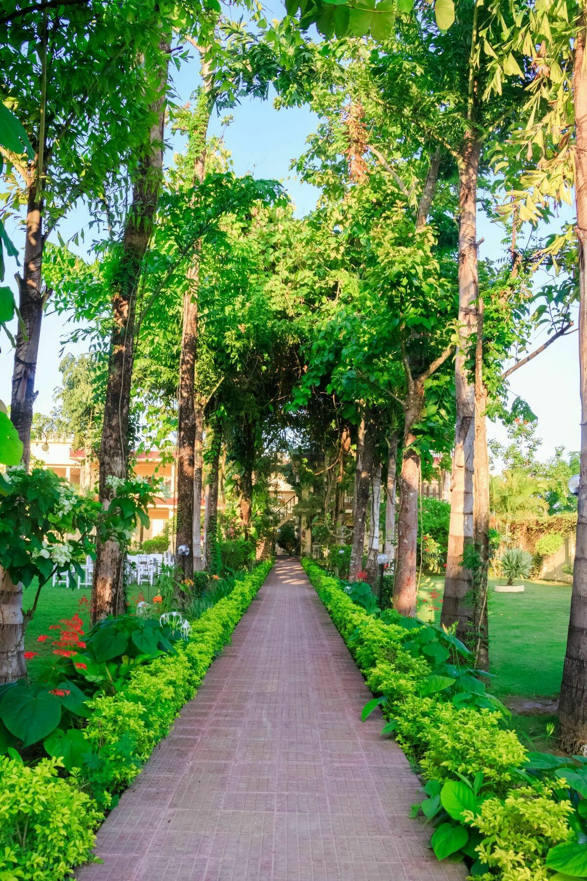 Hotel Rainforest Sauraha Bagian luar foto
