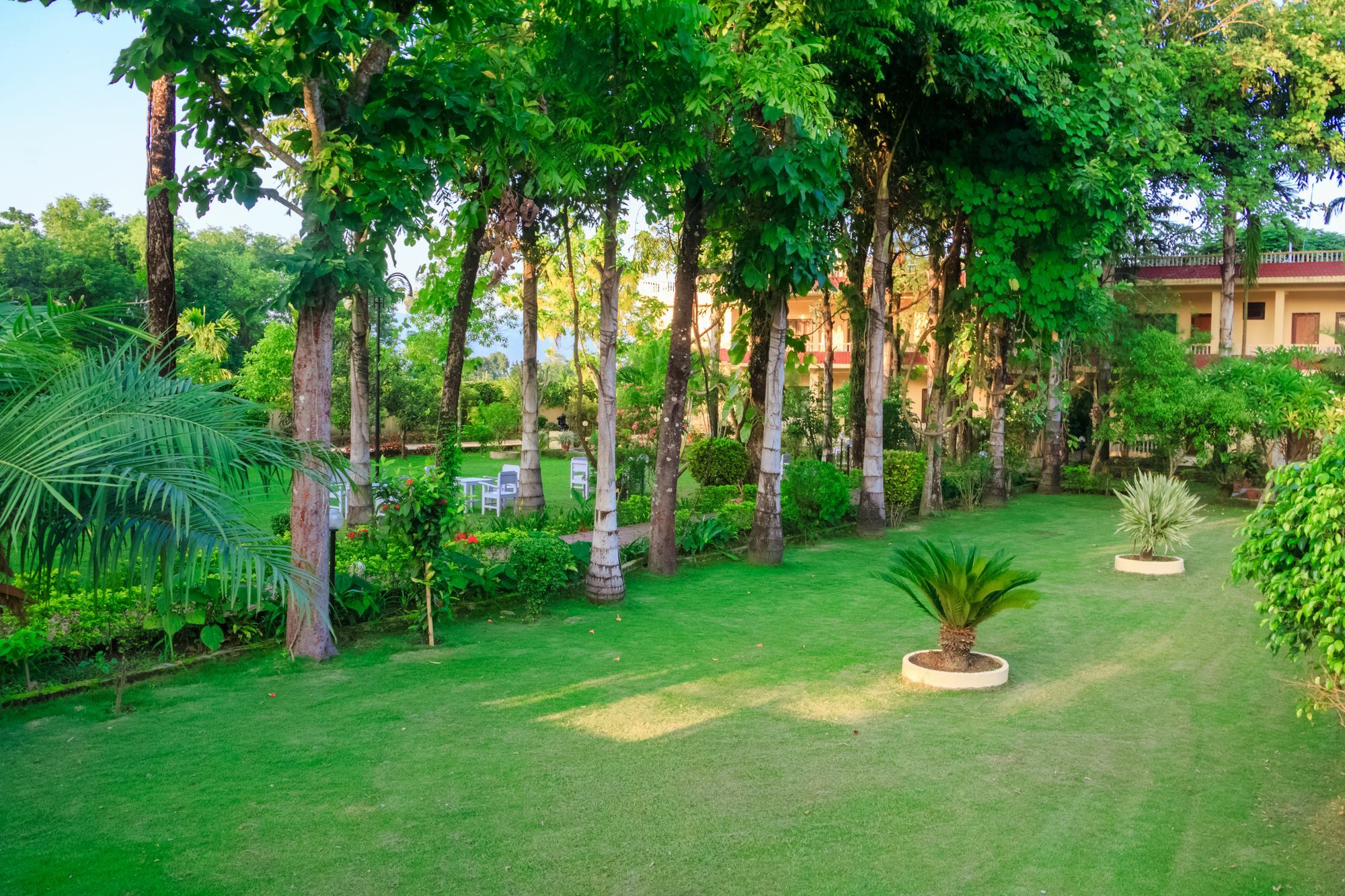 Hotel Rainforest Sauraha Bagian luar foto